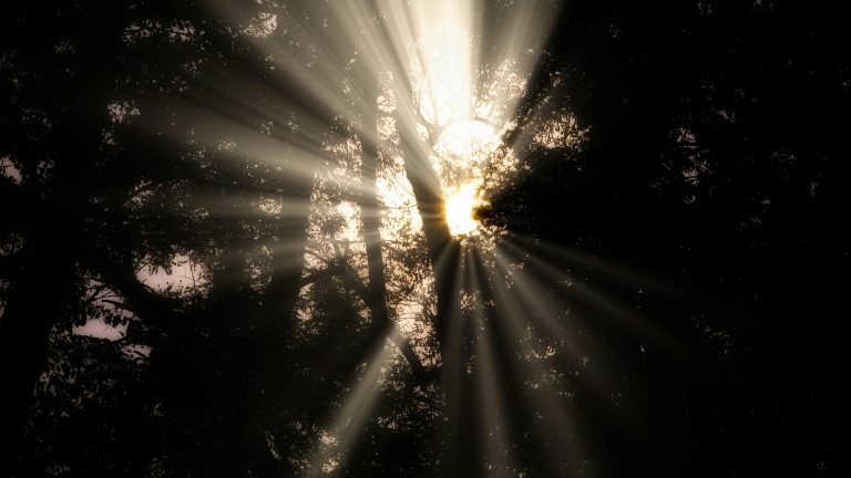 ‘Bitcoin Jesus’ Roger Ver Settles Tax Fraud Case Bitcoin