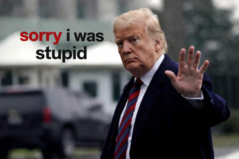 Official Trump Meme Coin Tumbles After World Liberty Financial Probe Official Trump Meme Coin Tumbles After World Liberty Financial Probe