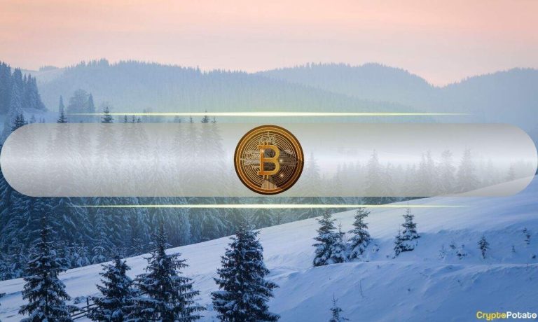 This Crypto Winter Much Healthier Than Previous Cycles: Bitwise CIO This Crypto Winter Much Healthier Than Previous Cycles: Bitwise CIO
