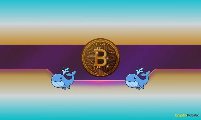 Whale Liquidated for $61.5 Million as Bitcoin Tumbled to New Lows Whale Liquidated for $61.5 Million as Bitcoin Tumbled to New Lows